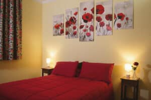 Ciliegio camera plus